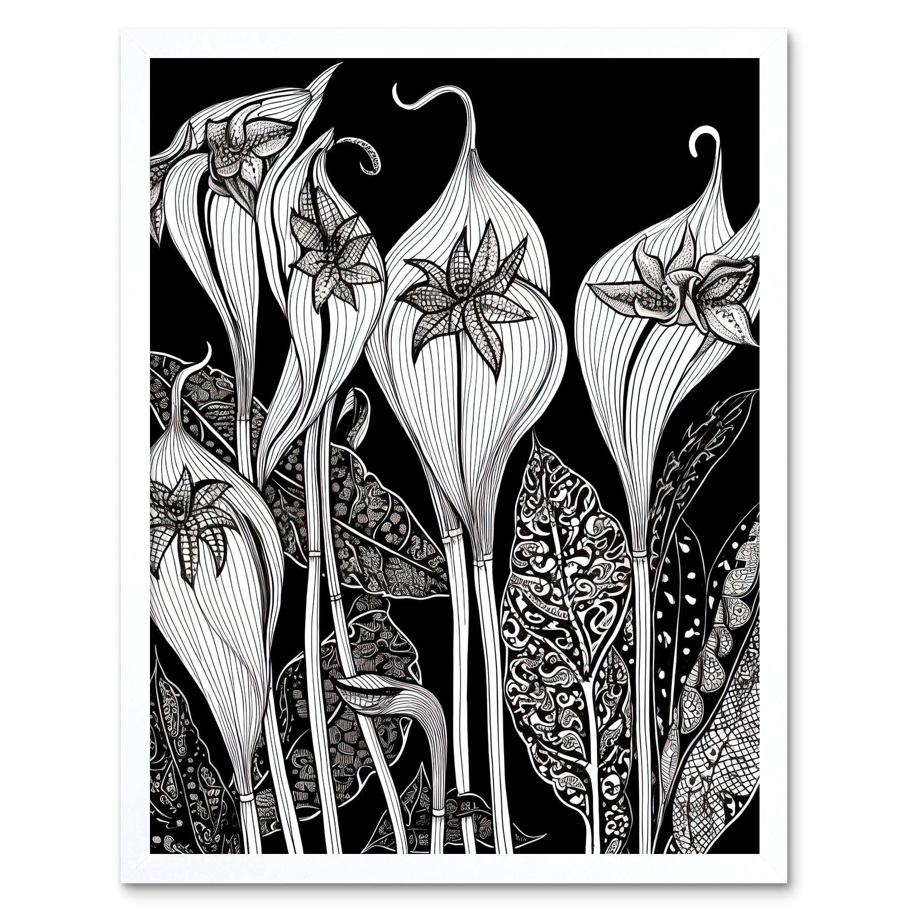 Arisaema Flower Plant Black and White Folk Art Art Print Framed Poster Wall Decor 12x16 inch