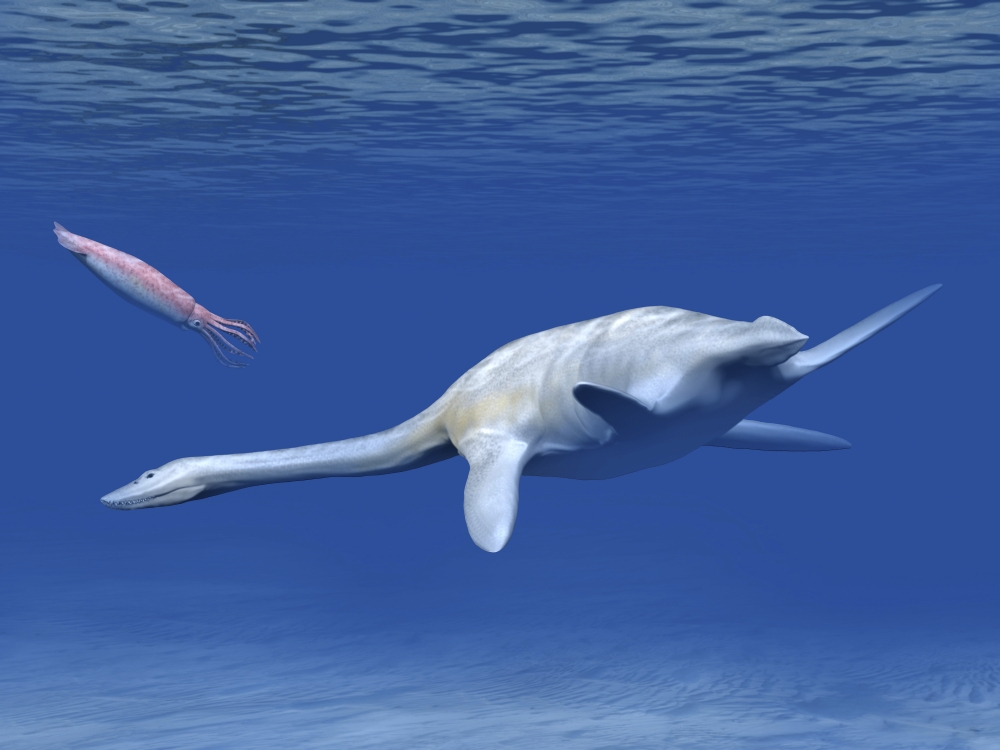 Aristonectes plesiosaur attempts to make a meal of a squid-like cephalopod Canvas Art - Nobumichi TamuraStocktrek Images (33 x 25)