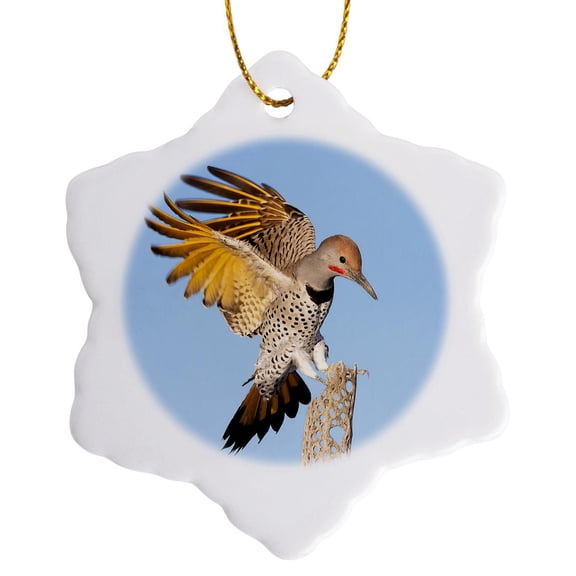 3drose, , Arizona, Buckeye. Gilded Flicker Landing on a Cholla Perch., 3 inch Snowflake Porcelain Ornament