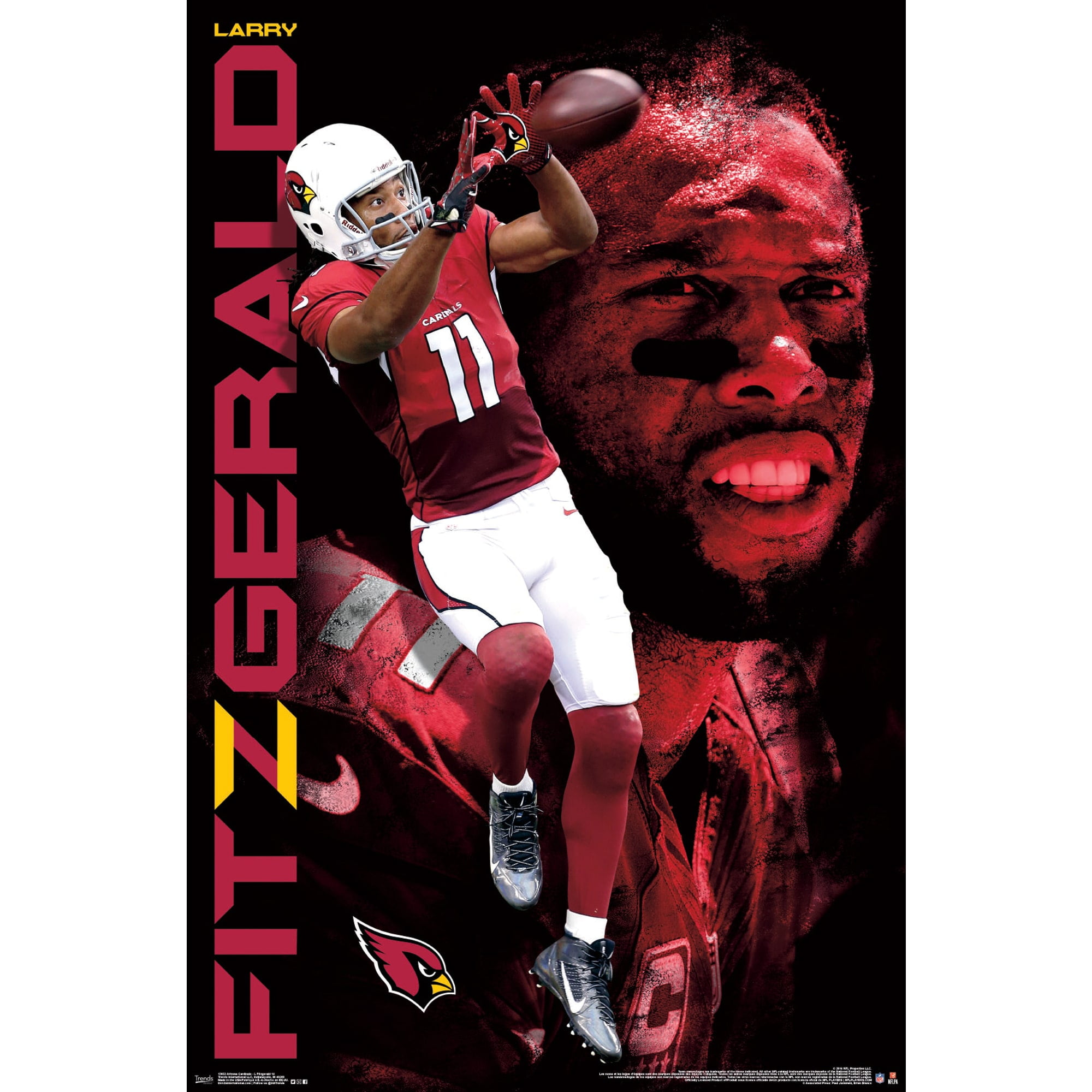 Arizona Cardinals 22'' x 34'' Larry Fitzgerald Poster