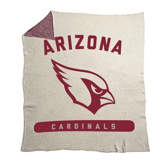 Arizona Cardinals 50" x 60" Luxe Dreams Throw Blanket