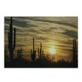 thumbnail image 1 of Arizona Cutting Board, Horizon Skyline in Scottsdale Area with Dramatic Clouds Above Cactus Plants, Decorative Tempered Glass Cutting and Serving Board, in 3 Sizes, by Ambesonne, 1 of 2