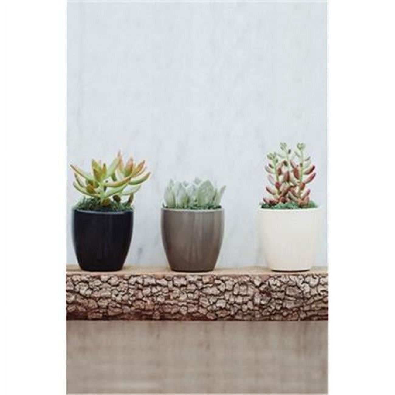 seed plant trays 25 Cell Seed Starting Tray 2 Pack
