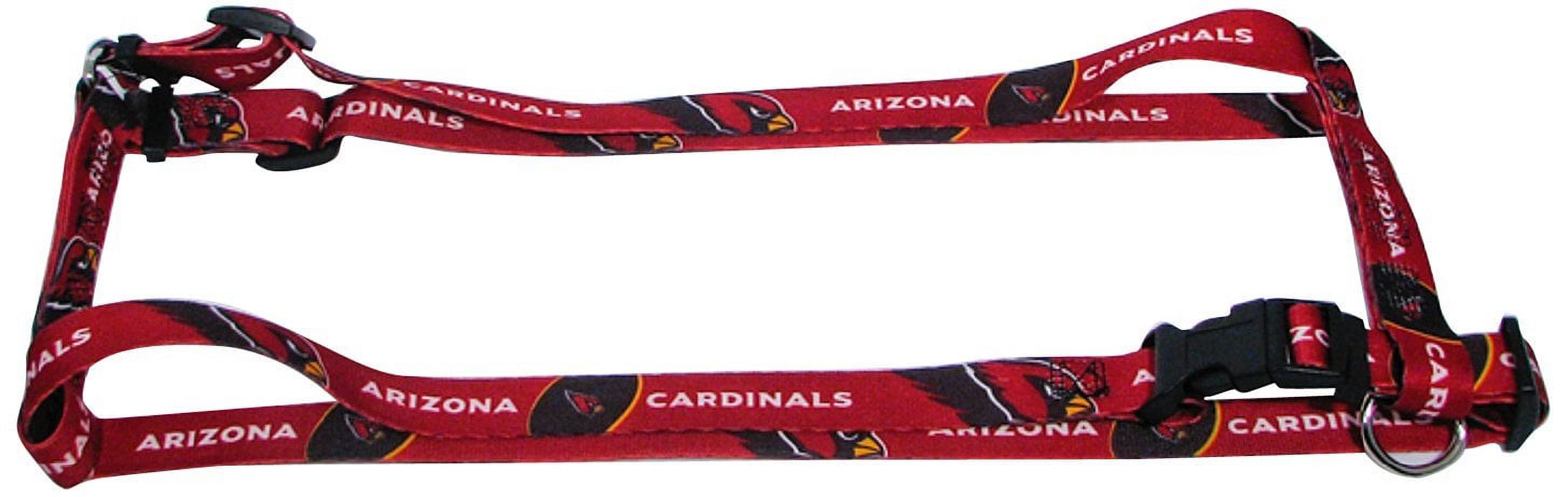Kansas Jayhawks Hundehalsband Von All Star Dogs – Für Treue Team-Fans Auf Vier Pfoten