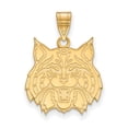 thumbnail image 1 of Arizona Large (3/4 Inch) Pendant (14k Yellow Gold), 1 of 4