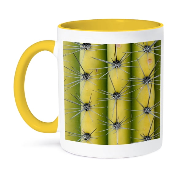 3dRose, Arizona, Organ Pipe Cactus NM. Saguaro Cactus close up of spines, 11oz Two-Tone Yellow Mug