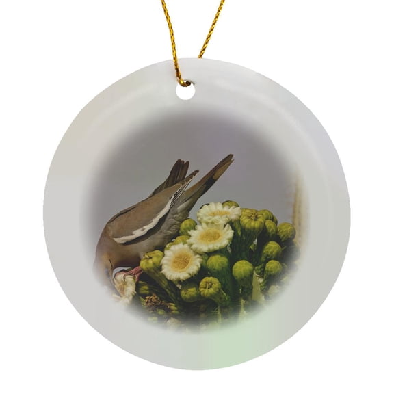 3drose, Arizona, Pima County, White-winged Dove Bird - Us03 Bja0089 - Jaynes Gallery, Circle Porcelain Ornament