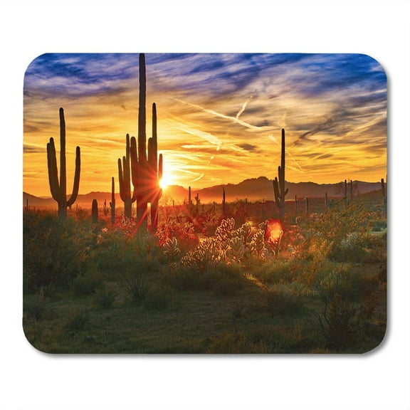 Arizona Saguaros at Sunset in Sonoran Desert Near Phoenix Cactus USA Sun Mousepad Mouse Pad Mouse Mat 9x10 inch