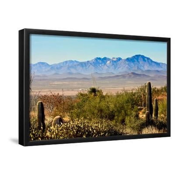 Arizona Sonora Desert Museum Vista, Framed Art Print Wall Art by NSirlin Sold by Art.Com