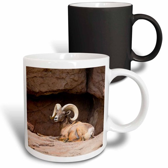 3drose, Arizona, Tucson, Arizona-sonora Desert Museum, Desert Bighorn Sheep., 11oz Magic Transforming Mug