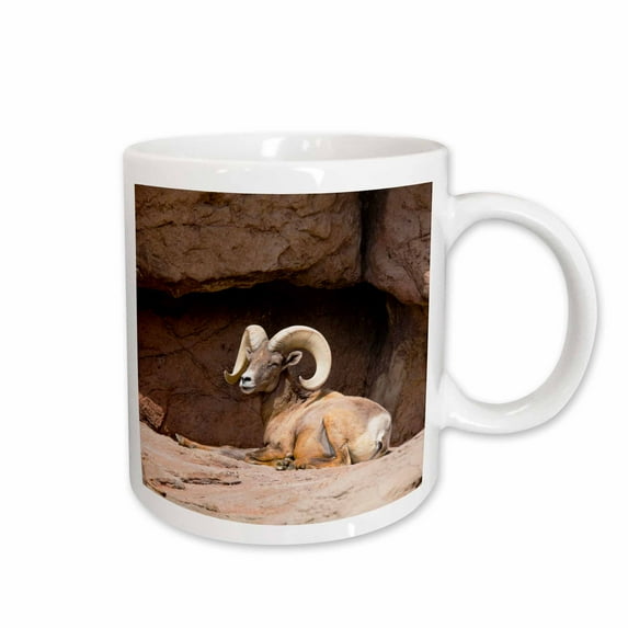 3drose, Arizona, Tucson, Arizona-sonora Desert Museum, Desert Bighorn Sheep., 11oz Mug