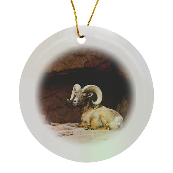 3drose, Arizona, Tucson, Arizona-sonora Desert Museum, Desert Bighorn Sheep., Circle Porcelain Ornament