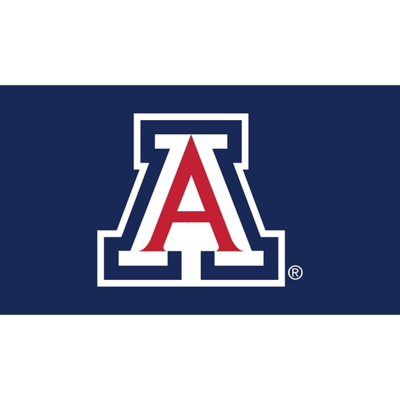 Arizona Wildcats 28" x 16" Turf Mat