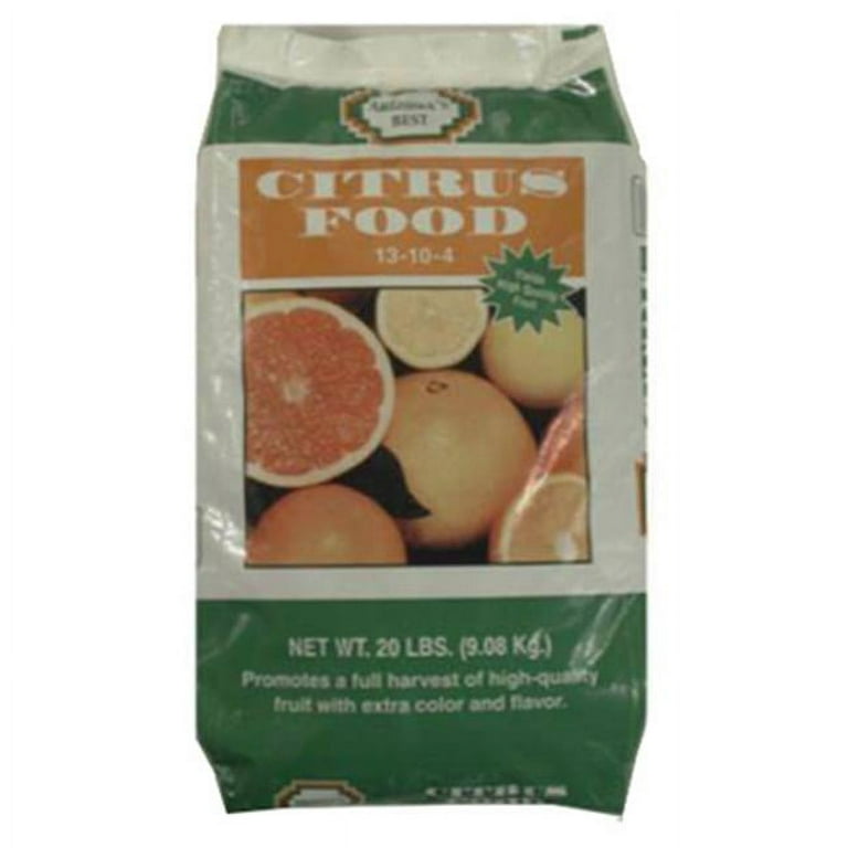 Fruit Lemon Choice 4 Pieces per Bag – California Ranch Market