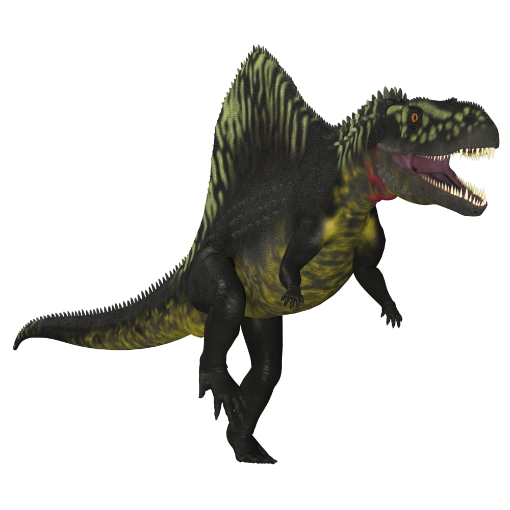 Arizonasaurus dinosaur on white background Canvas Art - Corey FordStocktrek Images (28 x 28)