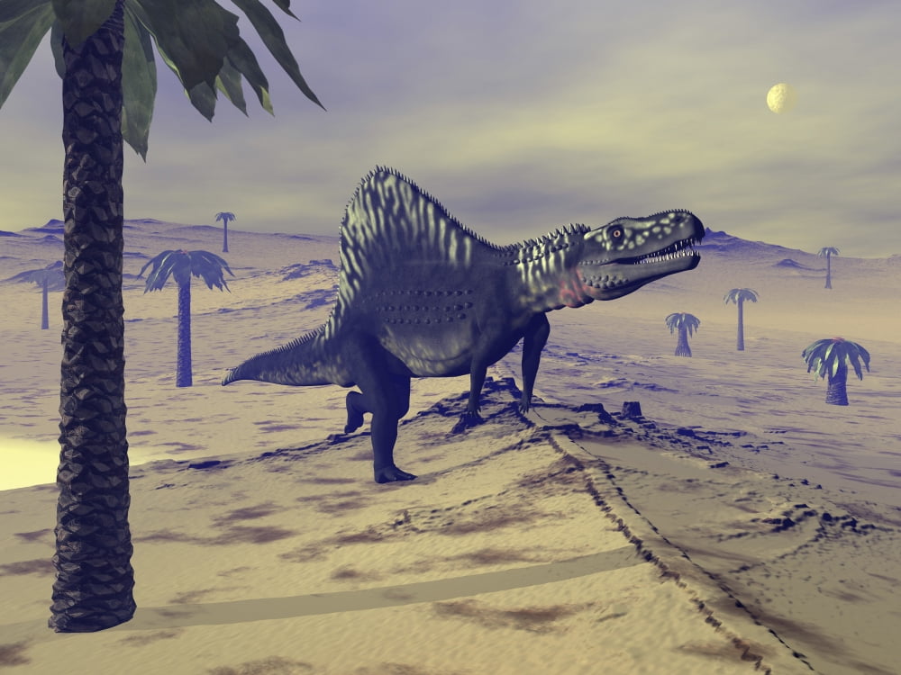Arizonasaurus dinosaur walking in the desert Canvas Art - Elena DuvernayStocktrek Images (17 x 13)