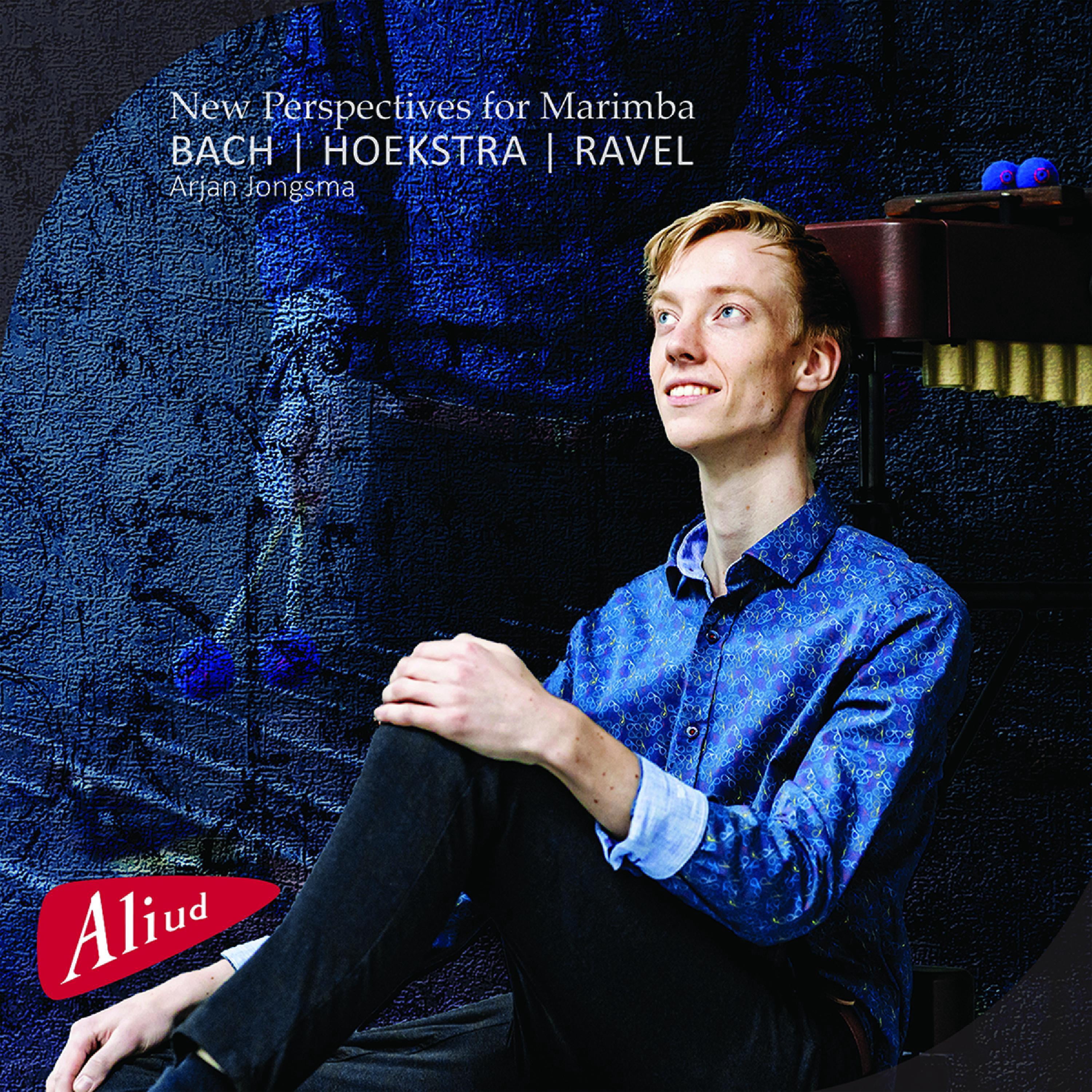 Arjan Jongsma - New Perspectives for Marimba - Music & Performance - Blu-ray