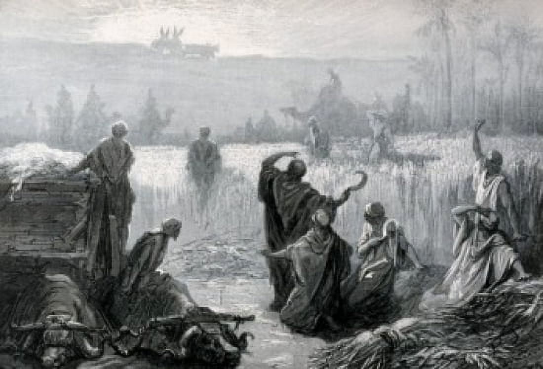 Ark Returns The Dore Gustave (1832-1883French) Canvas Art - Gustave Dore (18 x 24)