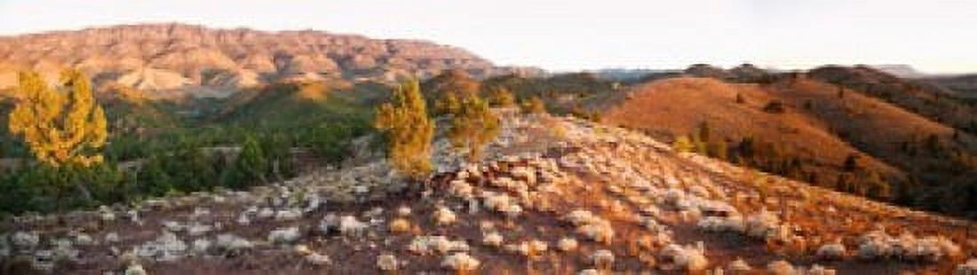 Arkaba Station at sunset Flinders Ranges South Australia Australia Canvas Art - Panoramic Images (40 x 12)