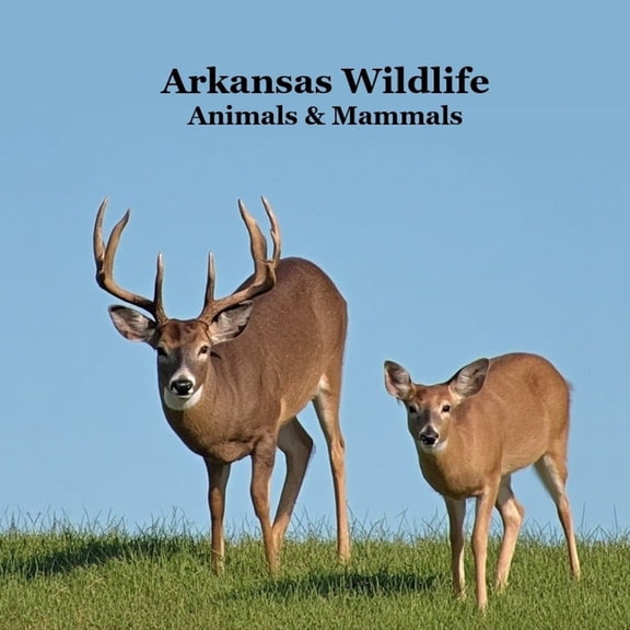 Arkansas Animals and Mammals Kids Wildlife Book: Excellent Wildlife Book about Animals and Mammals in Arkansas, (Paperback)
