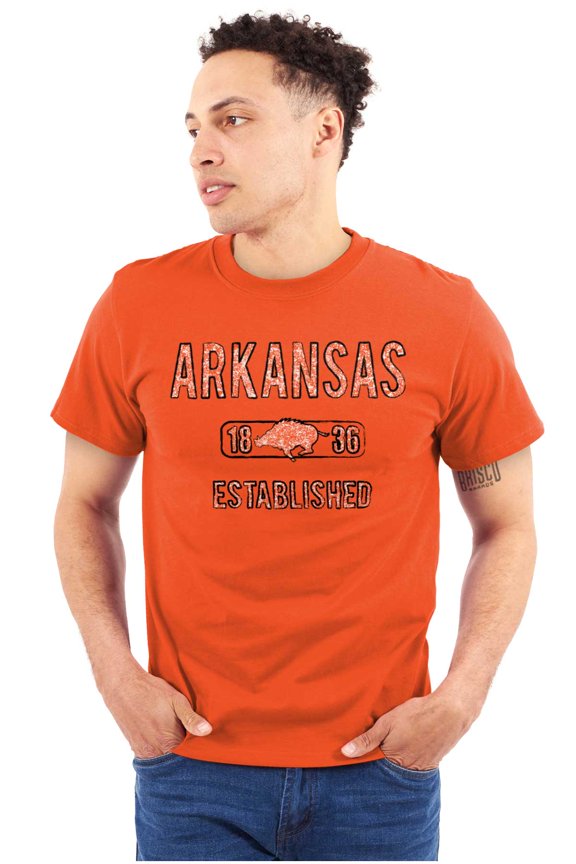 Arkansas Boar Stenciled Distressed Plus Size Crewneck Graphic Tee Shirt Brisco Brands 2X