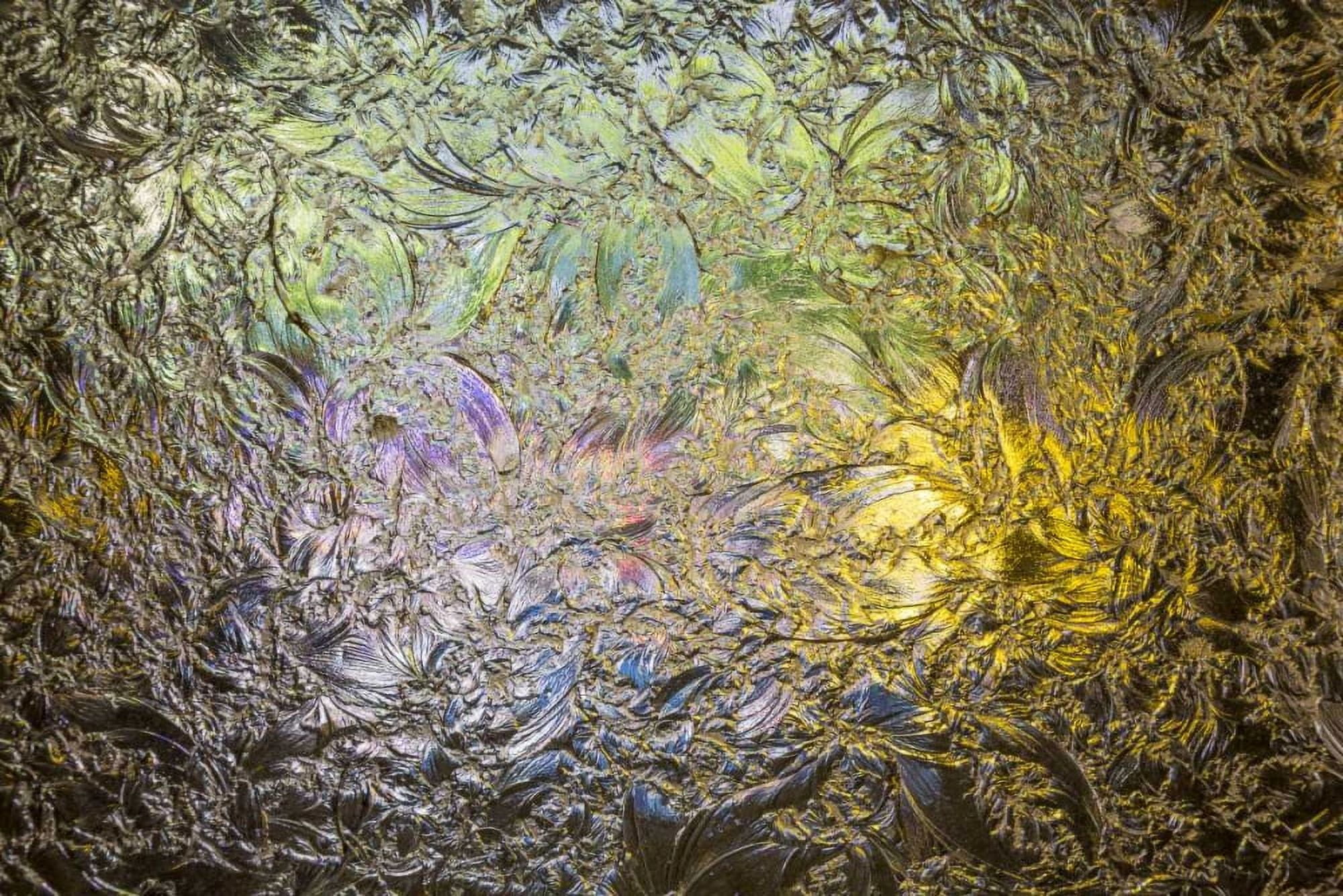 Arkansas, Hot Springs Fordyce Bath House by Don Paulson (36 x 24