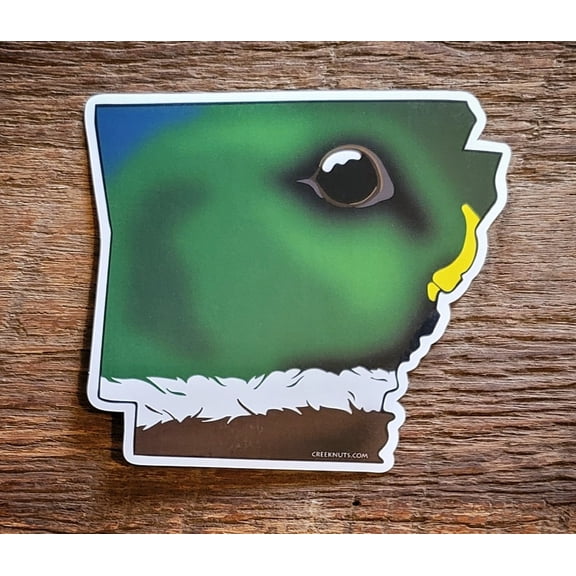 Arkansas Mallard Duck Skin Sticker Decal