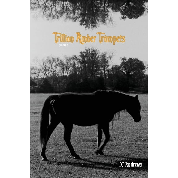 Arkansas Queer Poet Trillion Amber Trumpets, Book 3, (Paperback)