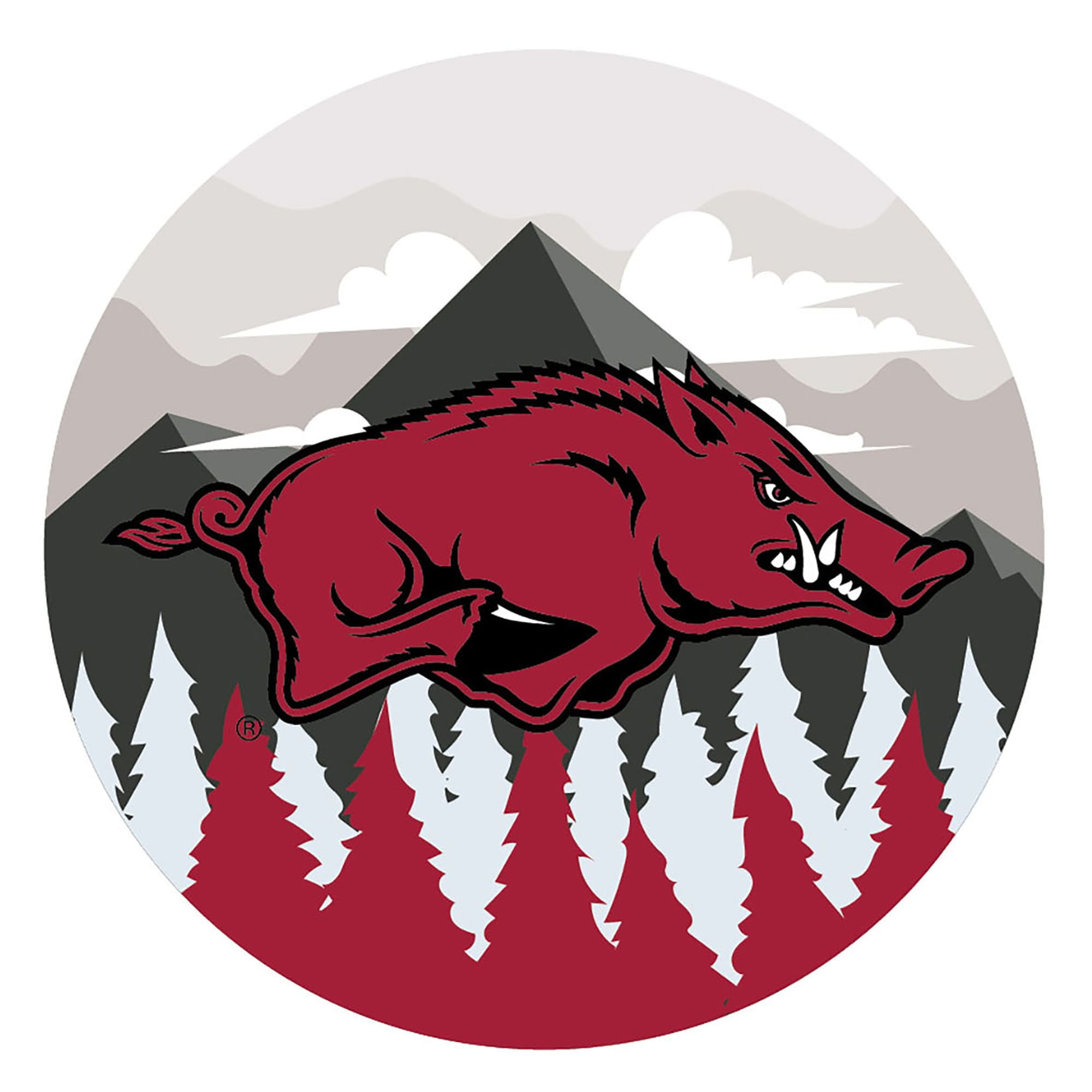 Arkansas Razorbacks 12