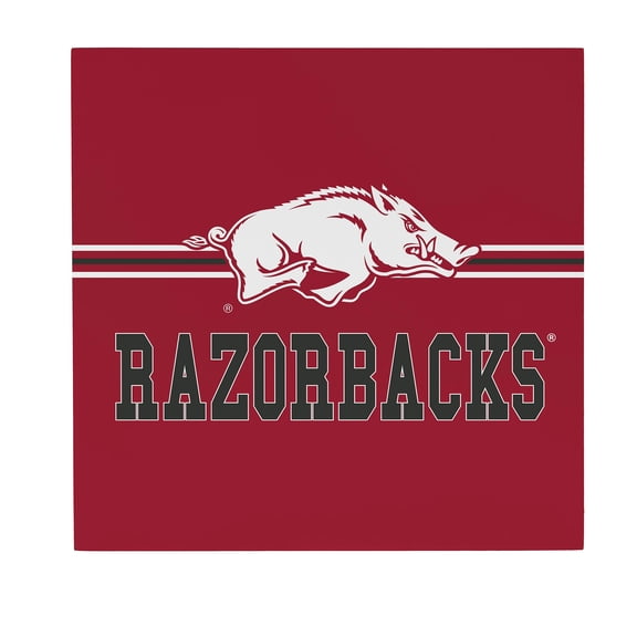 Arkansas Razorbacks 12" x 12" Wood Wall Sign