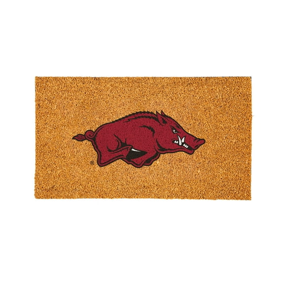 Arkansas Razorbacks 28" x 16" Logo Turf Mat