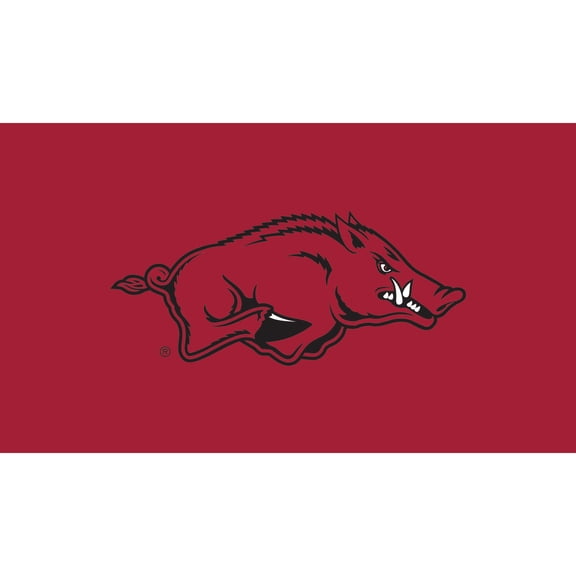 Arkansas Razorbacks 28" x 16" Turf Mat