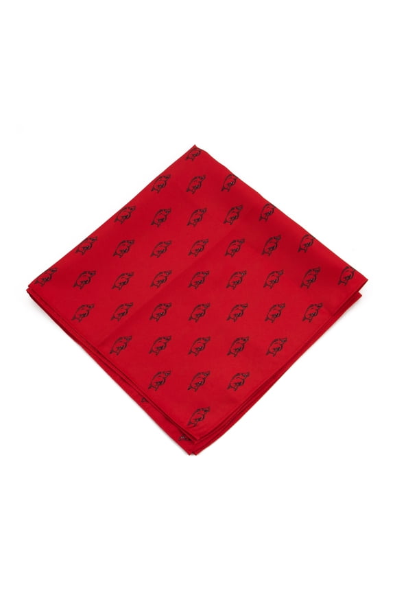 Arkansas Razorbacks Kerchief Pocket Square
