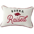 thumbnail image 1 of Arkansas Razorbacks  Rectangular Piped Pillow, 1 of 1
