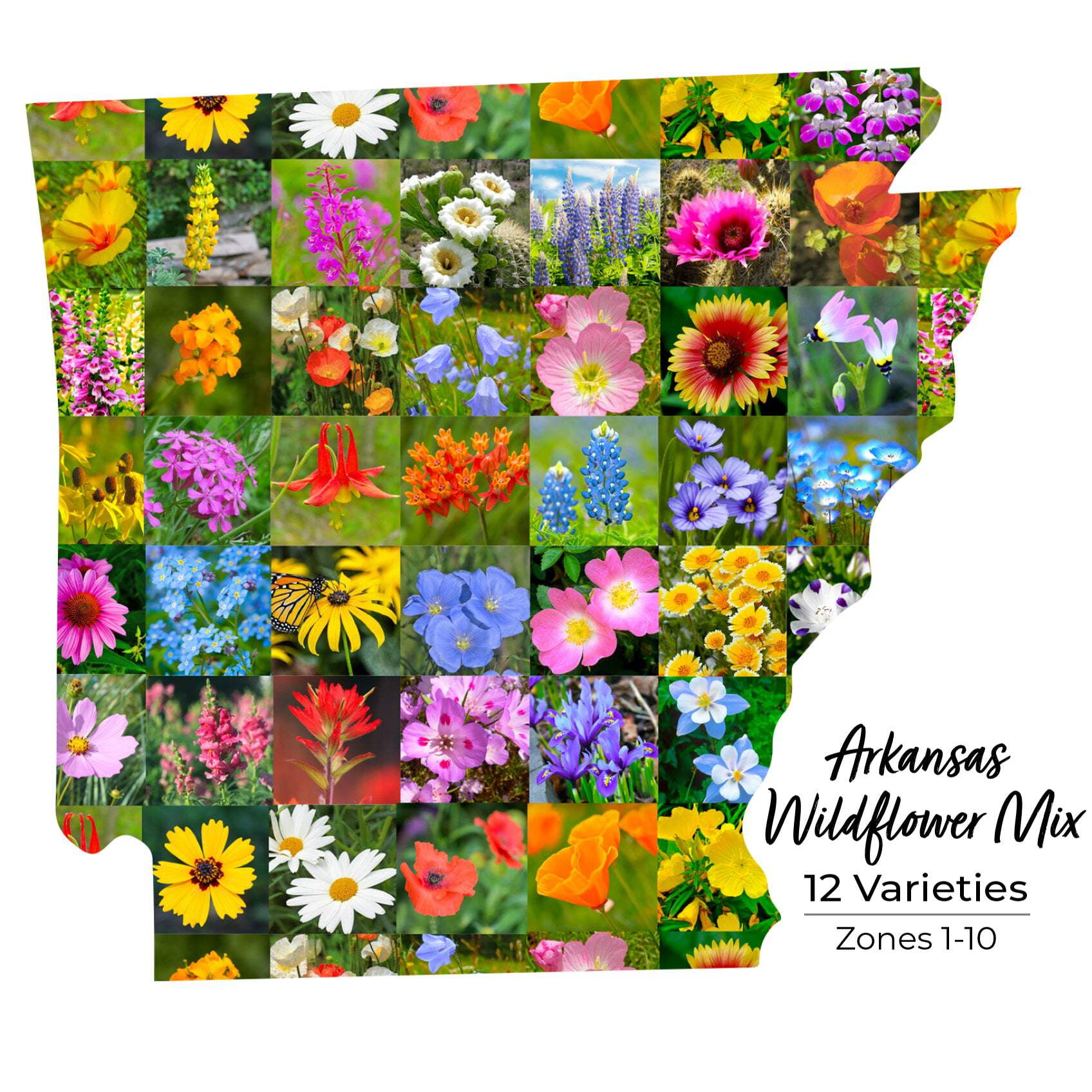 Arkansas Seed Mix