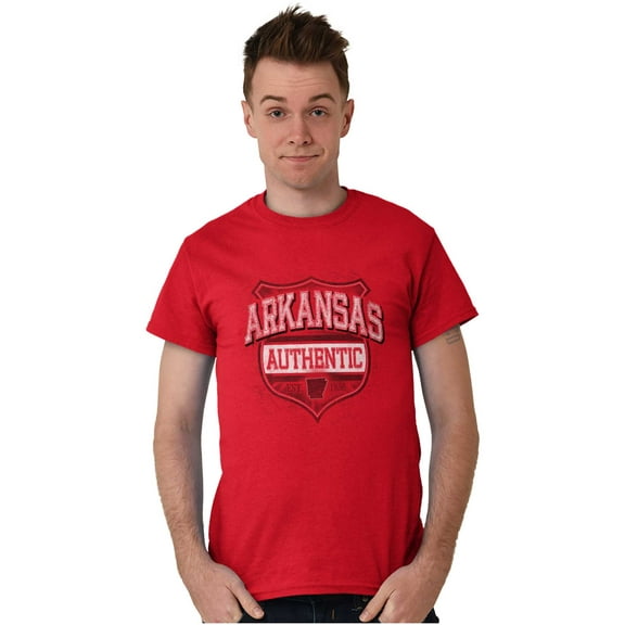 Arkansas Student Pride Gameday Cool Plus Size Crewneck Graphic Tee Shirt Brisco Brands 2X