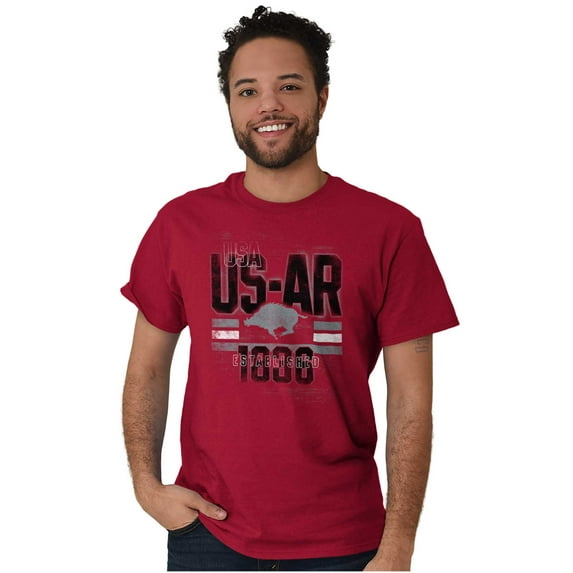 Arkansas Vintage AR Boar Distressed Plus Size Crewneck Graphic Tee Shirt Brisco Brands 2X