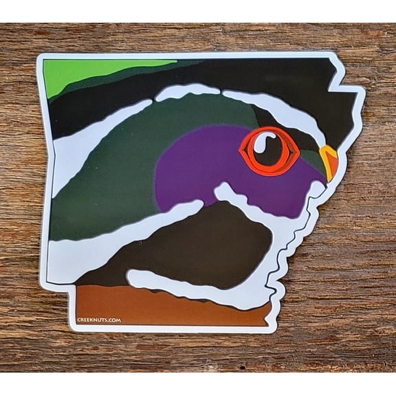 Arkansas Wood Duck Skin Sticker Decal