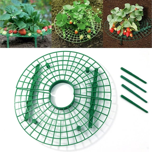 Arkzeo 10X Strawberry Plant Support Replacements Strawberry Garden Clean Green