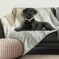 thumbnail image 1 of Arlee Home + Pet Waterproof Throw for Dogs and Cats, 1 of 7