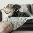 thumbnail image 1 of Arlee Home + Pet Waterproof Throw for Dogs and Cats, 1 of 5