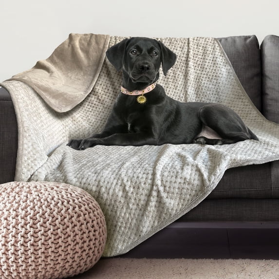 Arlee Home + Pet Waterproof Throw for Dogs and Cats