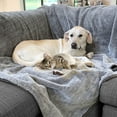 thumbnail image 1 of Arlee Home + Pet Waterproof Throw for Dogs and Cats, 1 of 5