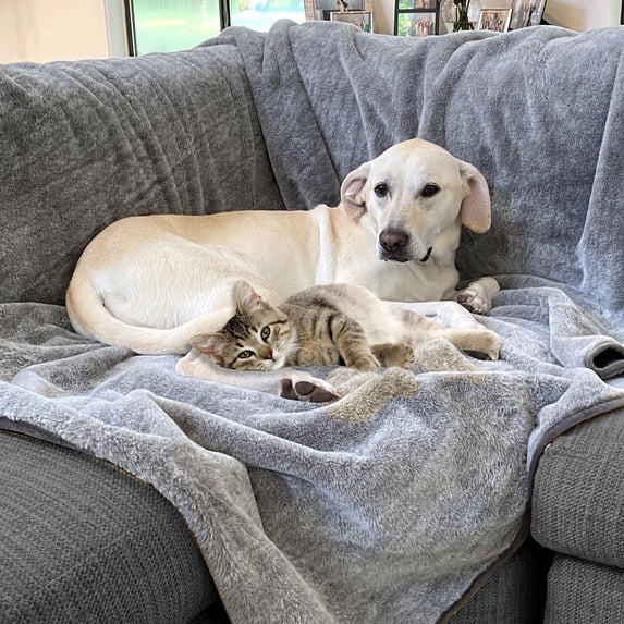 Arlee Home + Pet Waterproof Throw for Dogs and Cats