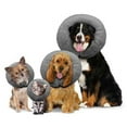 thumbnail image 1 of Arlee Pet Products Poly Filled Adjustable E-Collar Charcoal 1ea/MD, 1 of 1