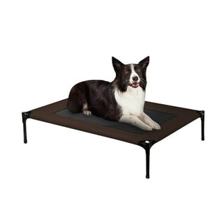 Elevated Dog Beds in Dog Beds Walmart