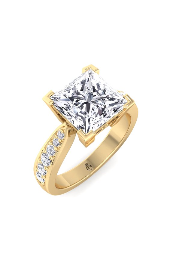 Arlington - Moissanite Princess Cut Lab Diamond Engagement Ring With Sidestones Channel Setting