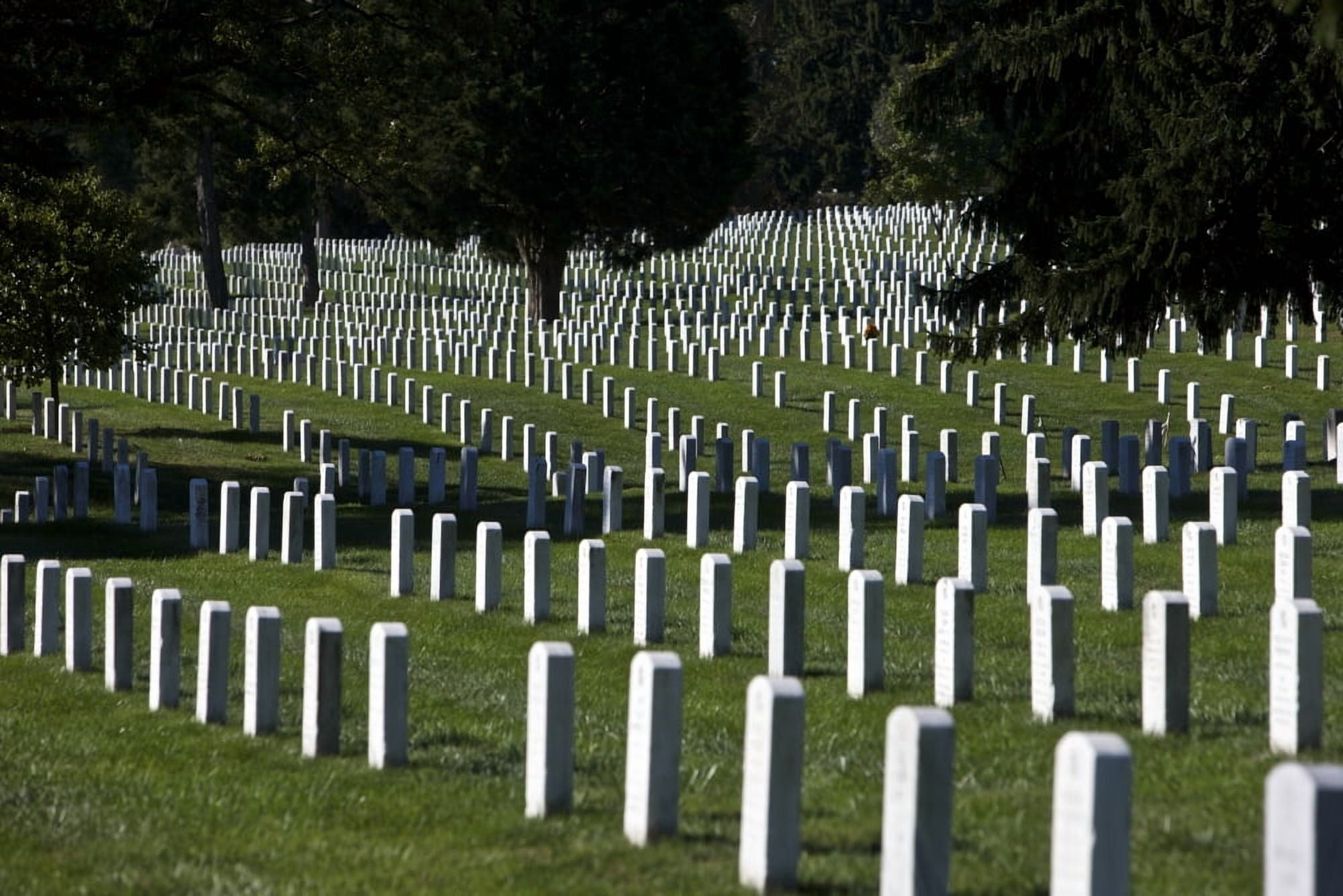 Arlington National Cemetery Arlington Virginia USA Canvas Art - Terry MooreStocktrek Images (18 x 12)