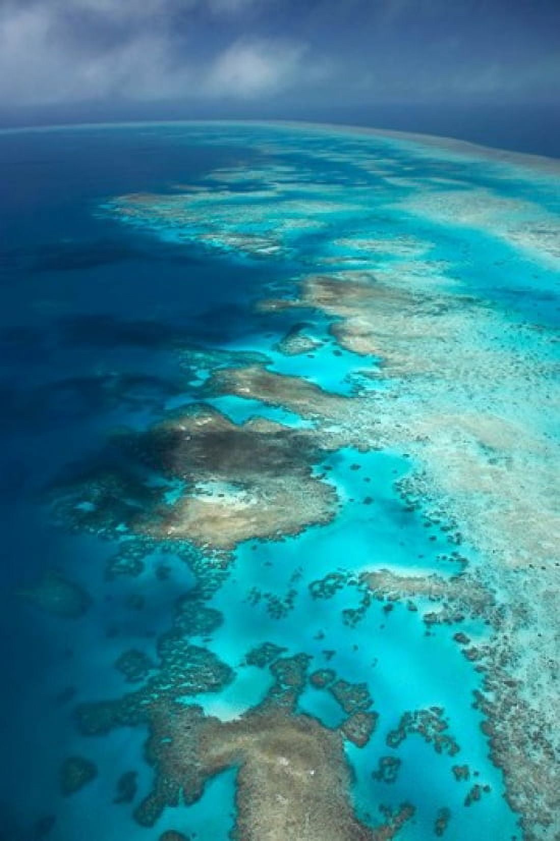 Arlington Reef Great Barrier Reef Marine Park North Queensland Australia Canvas Art - David Wall DanitaDelimont (18 x 26)