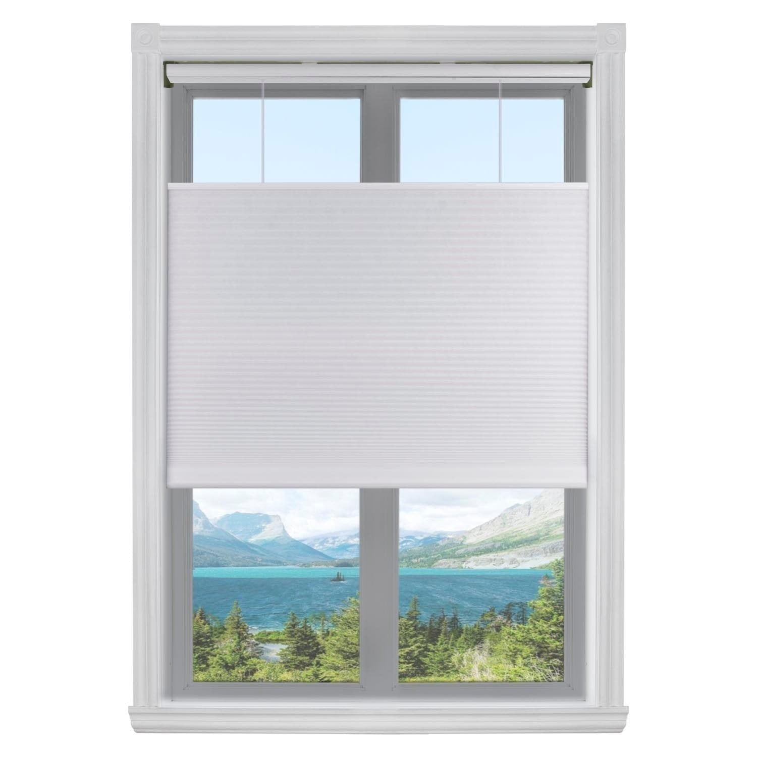 White Cordless Light Filtering Cellular Shade 40"W x 60"H
